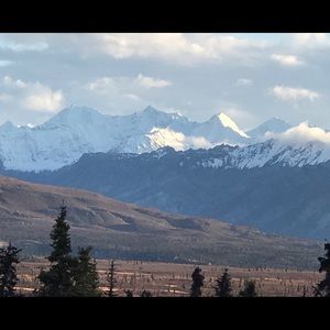 Meet your Posher, Dale